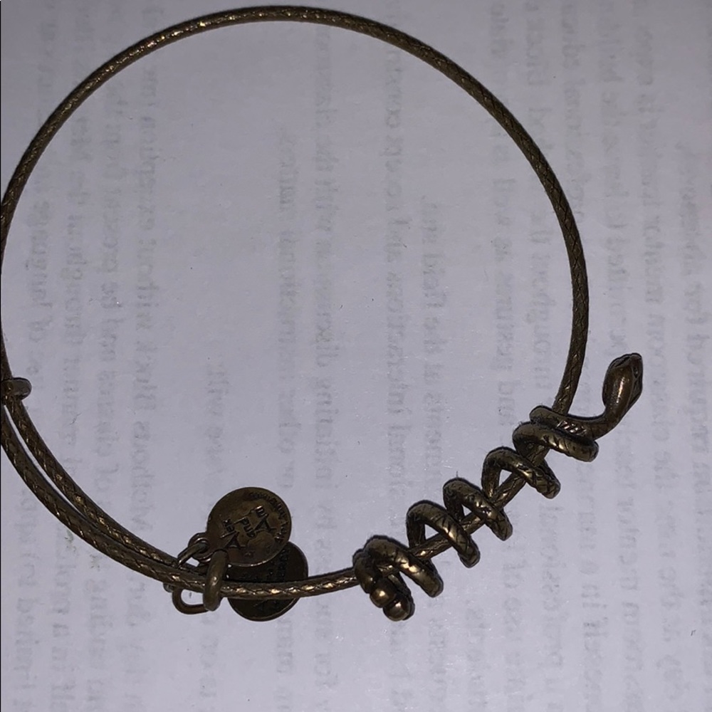 Alex and Ani Snake